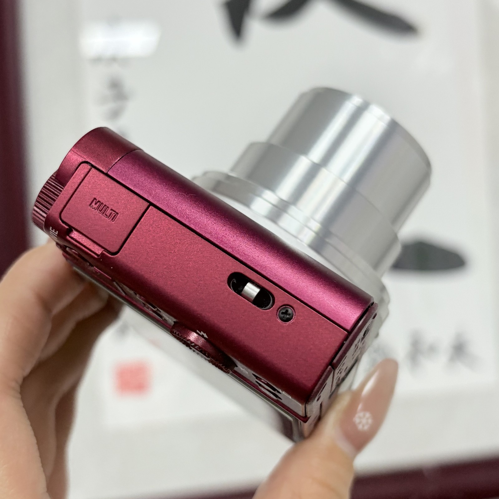 Sony Cyber-shot DSC-WX500 Camera - 30x ZEISS Zoom, 180° Flip