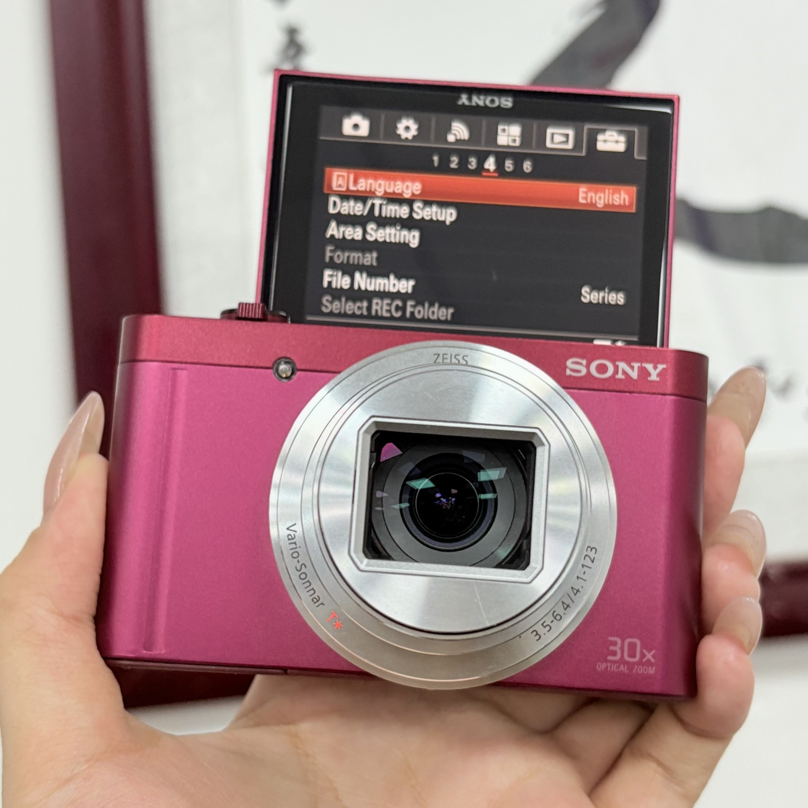 Sony Cyber-shot DSC-WX500 Camera - 30x ZEISS Zoom, 180° Flip