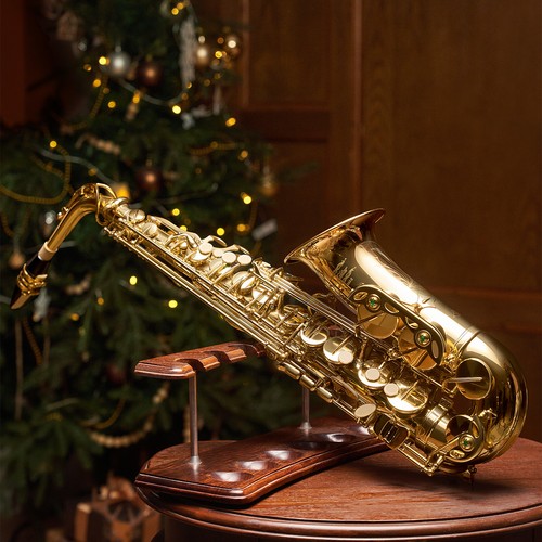 🎷 Eastar AS-Ⅱ Alto Saxophone E Flat Sax With Hard Case
