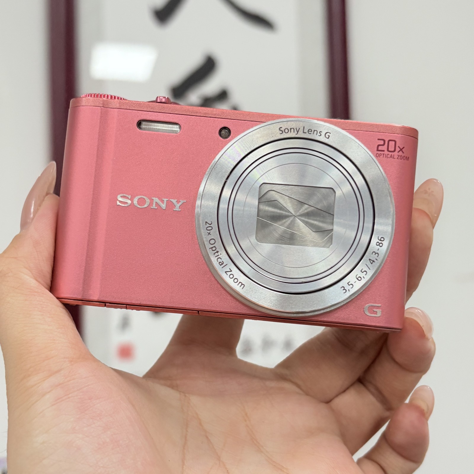 SONY Cyber-shot DSC-WX350 18.2 MP 20x Zoom Digital Camera English