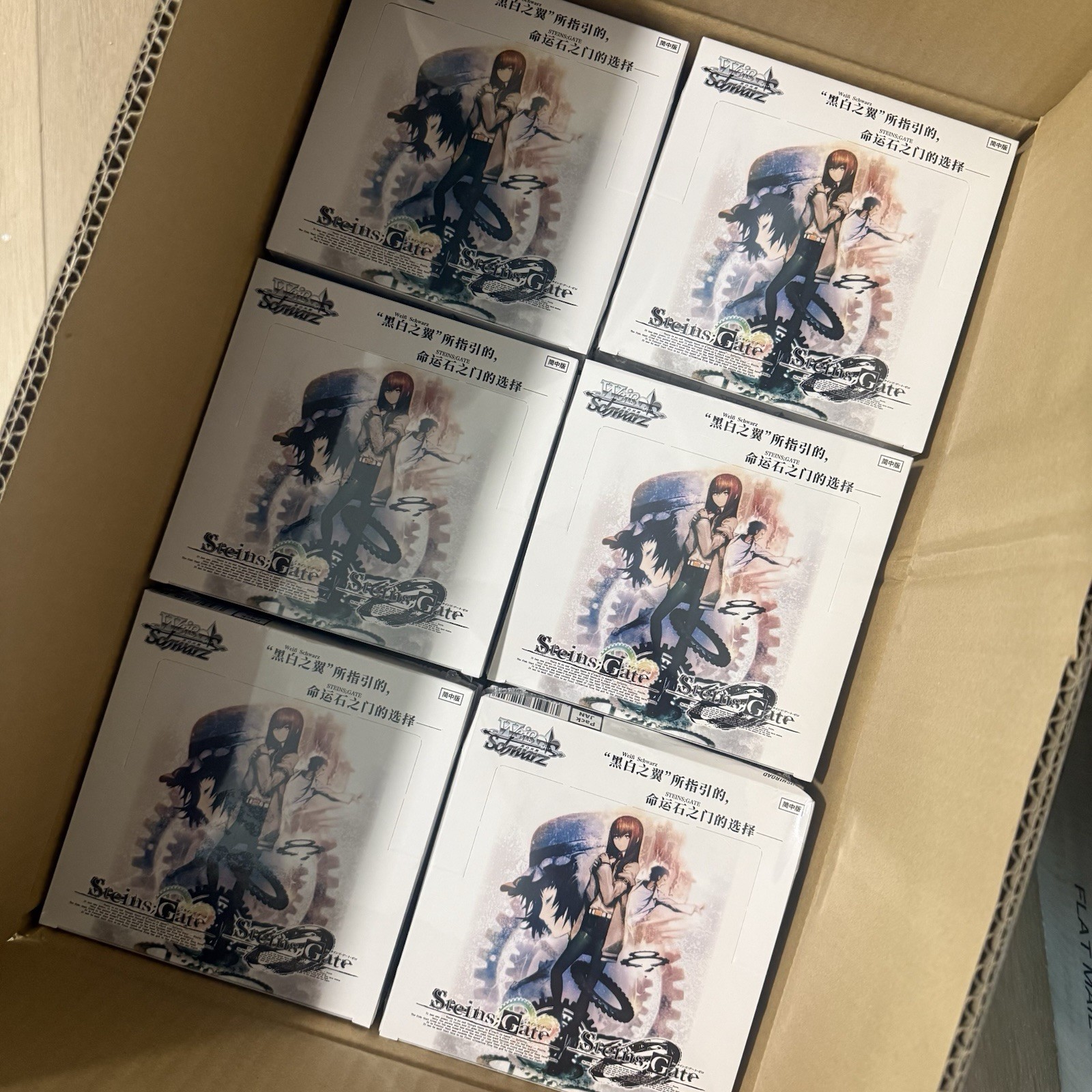 IN STOCK Exclusive Chinese Weiss Schwarz Steins Gate Booster Box
