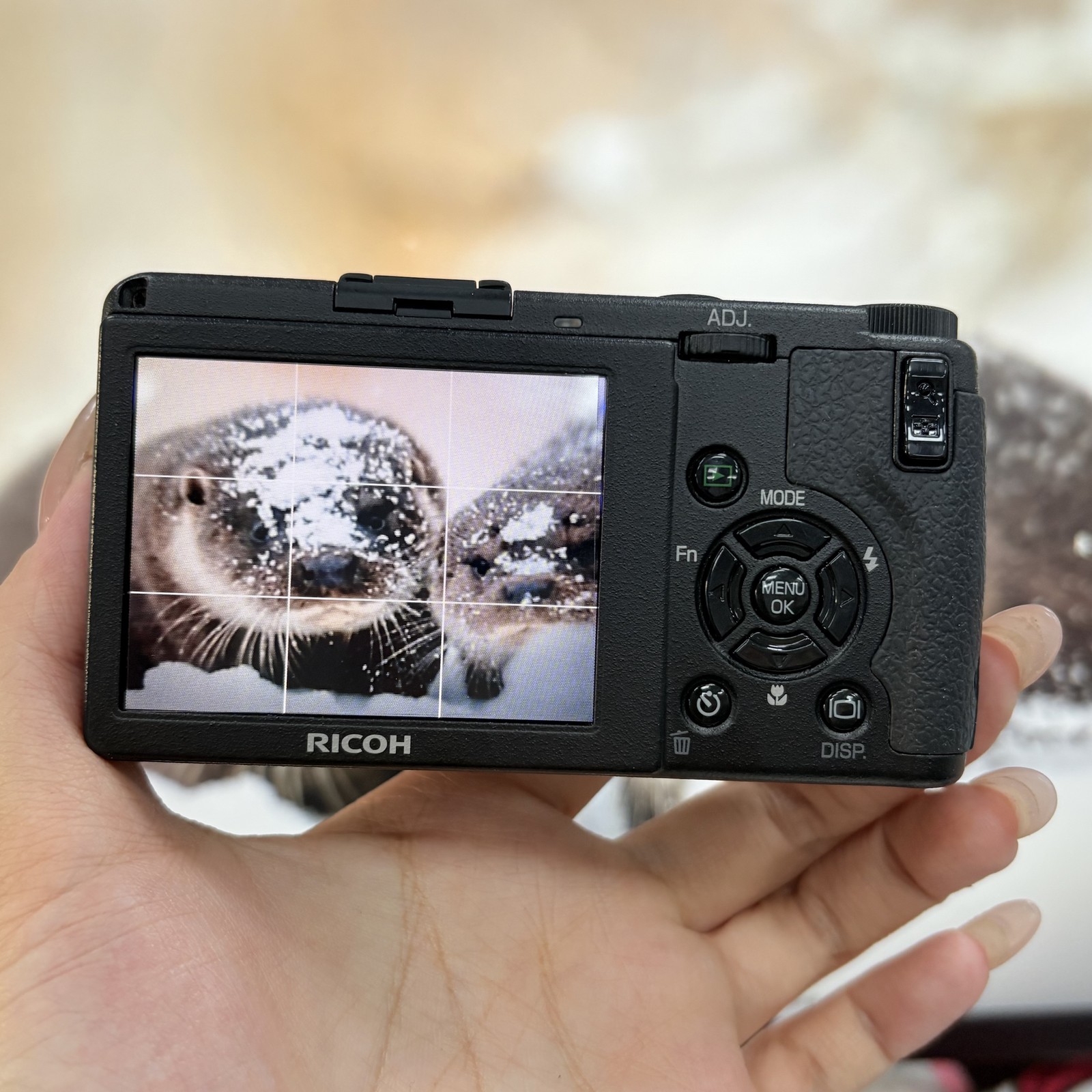 Ricoh GR Digital II GRD2 Compact Digital Camera Built-in Flash-95