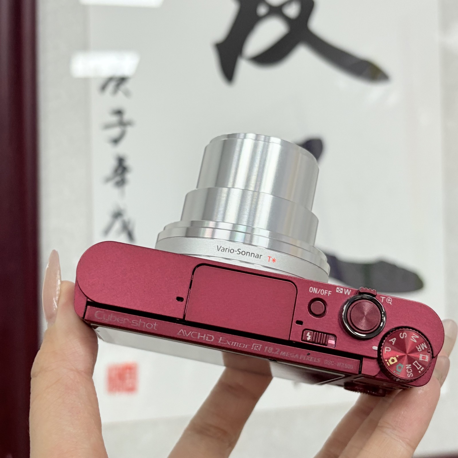 Sony Cyber-shot DSC-WX500 Camera - 30x ZEISS Zoom, 180° Flip