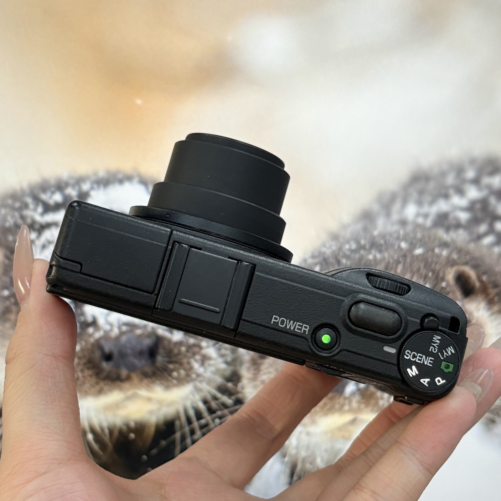 Ricoh GR Digital II GRD2 Compact Digital Camera Built-in Flash-95