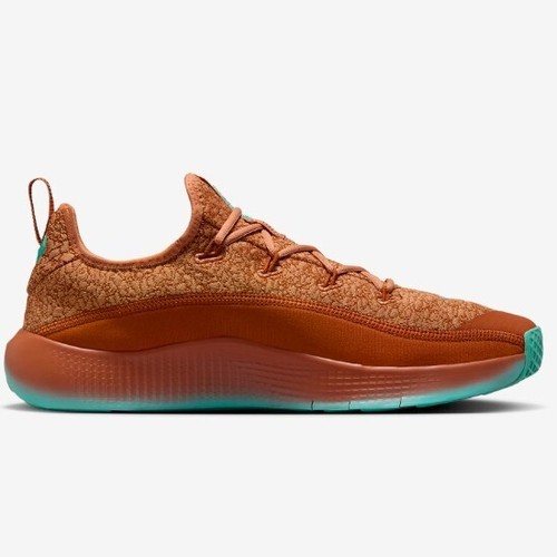 Nike Lebron TR 1 'Amber Brown' (FJ6151-200) | eBay