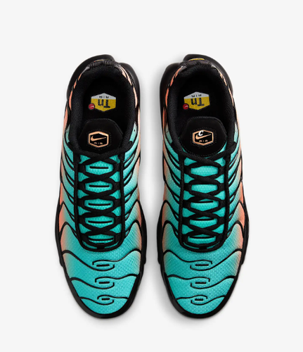 Nike Air Max Plus Men's sneakers DM0032-022 | eBay