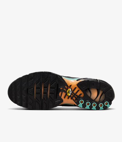 Nike Air Max Plus Men's sneakers DM0032-022 | eBay