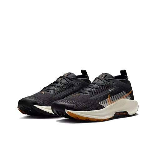 Nike Pegasus Trail 5 GORE-TEX Black Monarch Running Shoes FQ0908